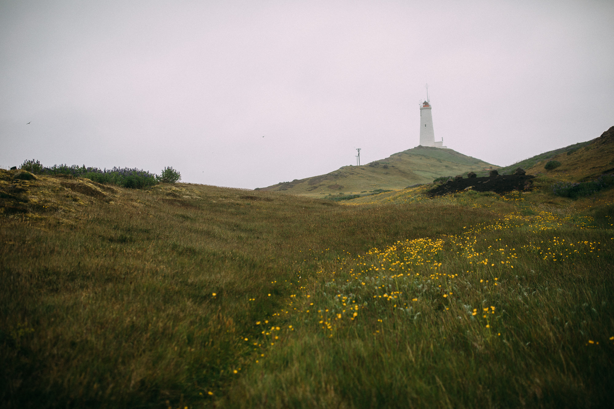 Export x3 5D4 8588 Gaby & German @ Reykanesviti 3